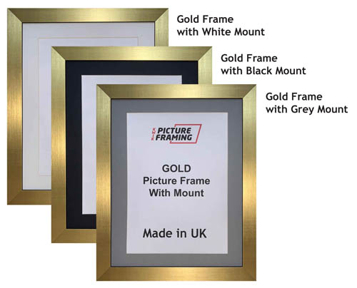 Gold Picture Frame with Mount